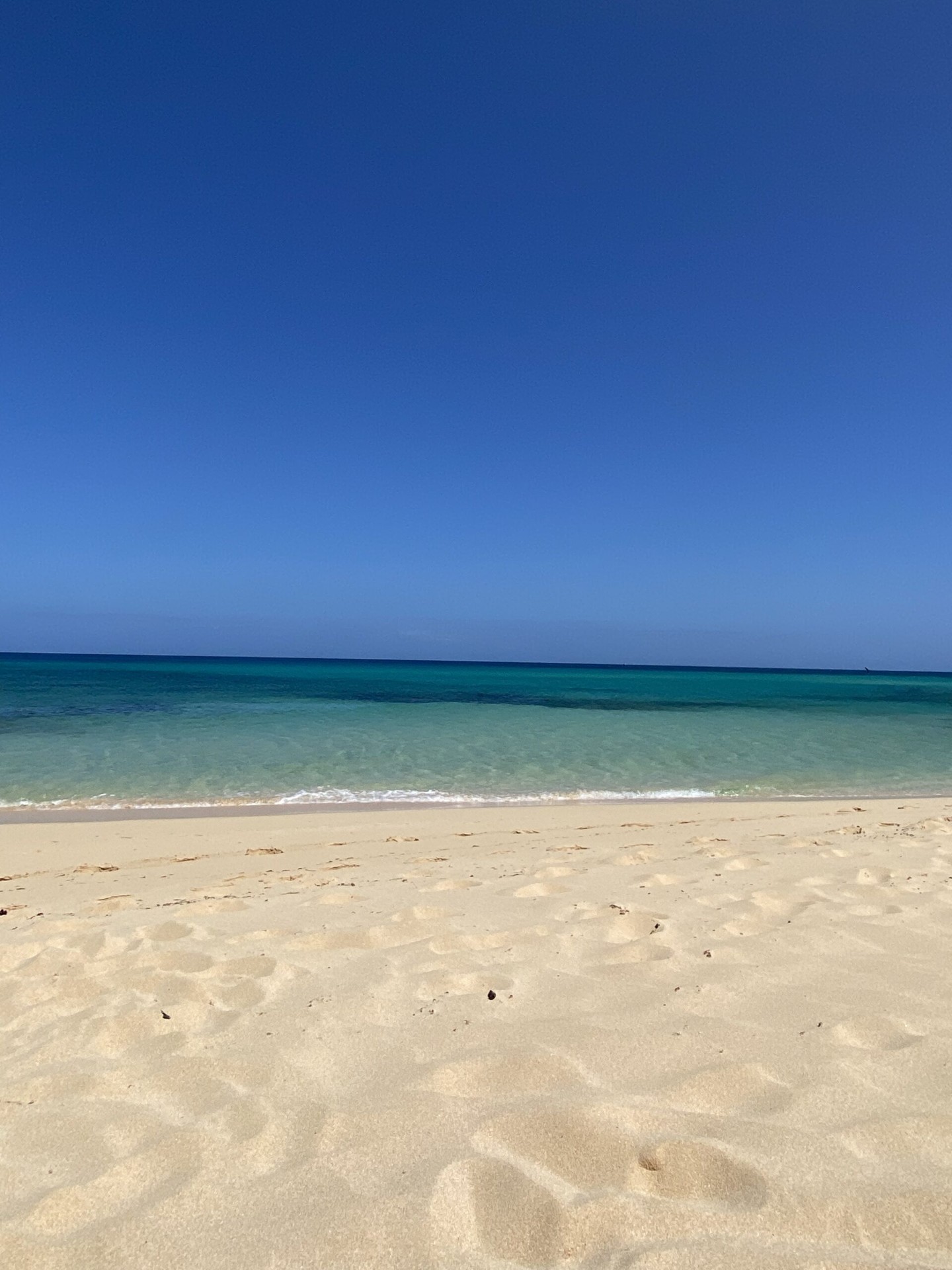Fuerteventura beach